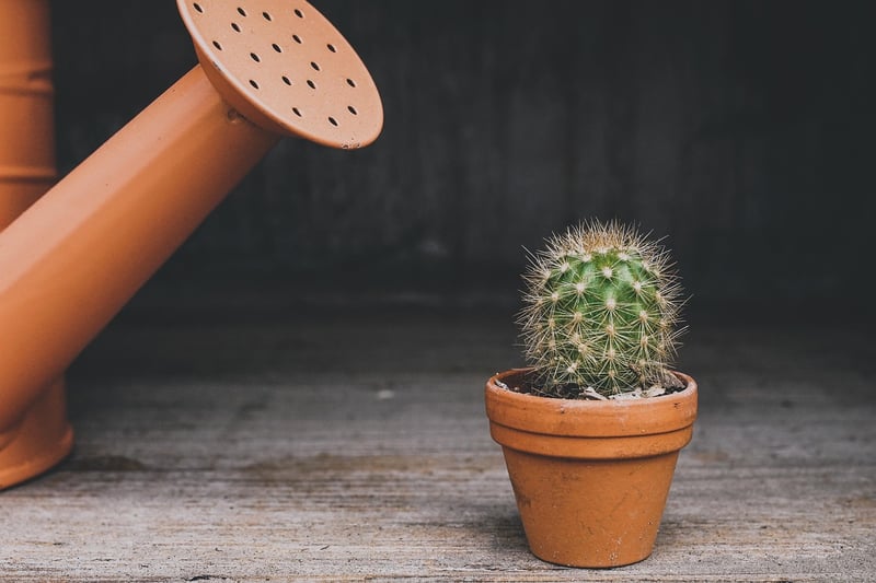 Toy car planter