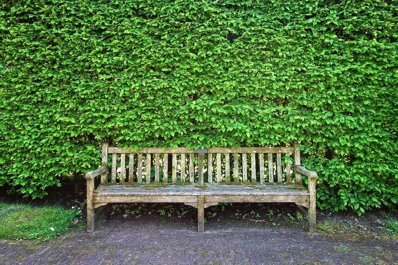 Outdoor Seating