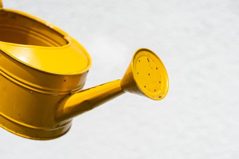 Water Bottle Plant Watering System